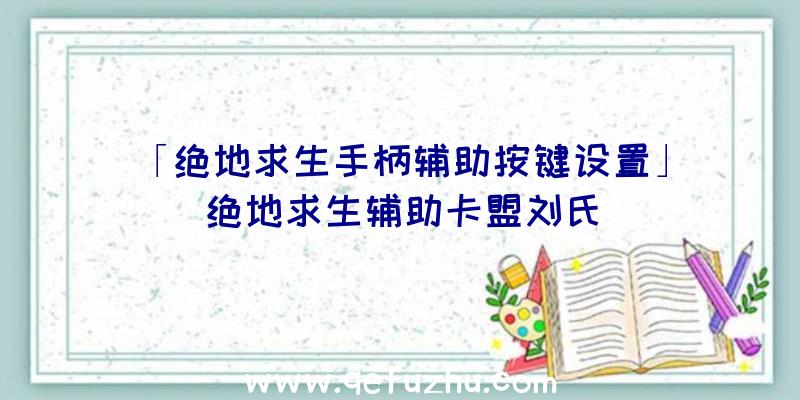 「绝地求生手柄辅助按键设置」|绝地求生辅助卡盟刘氏